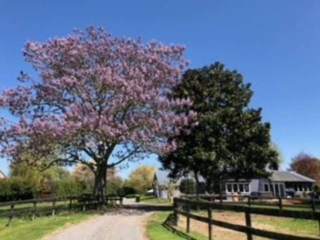 Property for sale in Pukekura, Waikato