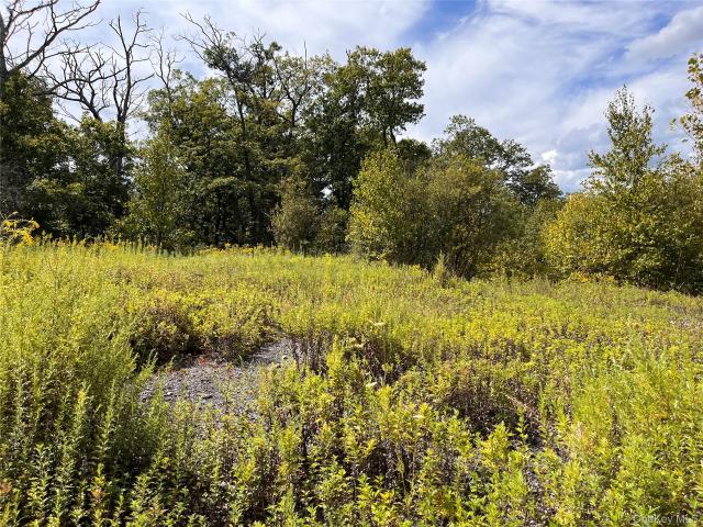 Land for sale in Putnam Valley, New York