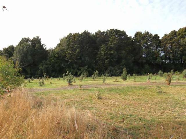 Property for sale in Horowhenua District