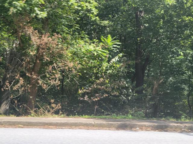 Land for sale in Millersville, Pennsylvania