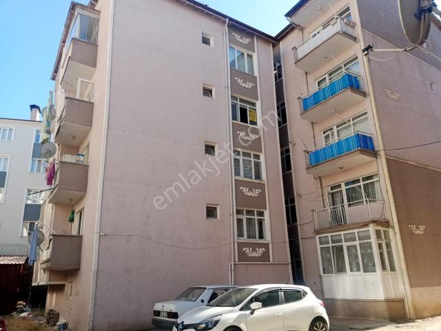 Tokat Merkez, Tokat içerisinde kiralık mülk