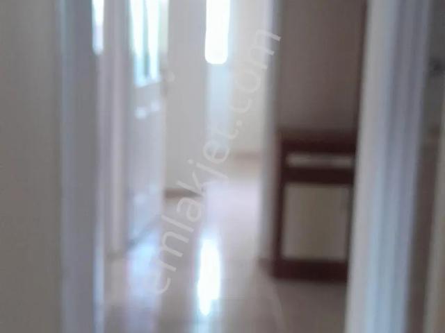 Girne Mahallesi, Efeler içerisinde kiralık mülk