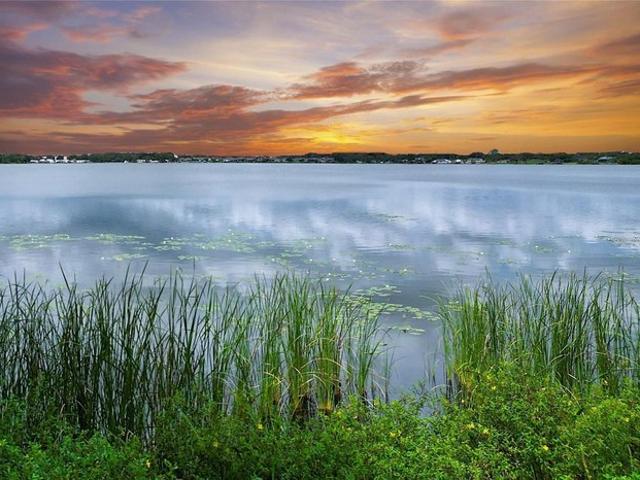 Land for sale in Lake Alfred, Florida