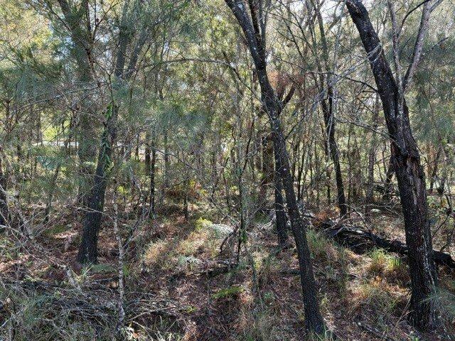 Land for sale in Toombul, Queensland