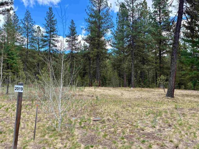 Land for sale in McCall, Valley County