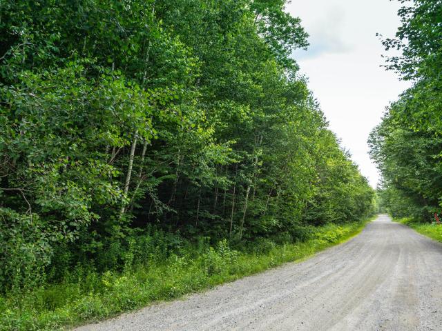 Land for sale in West Dover, Vermont