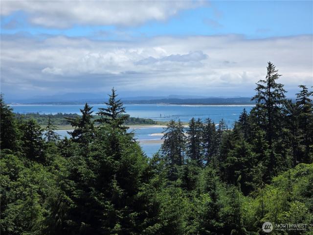 Land for sale in Ilwaco, Washington