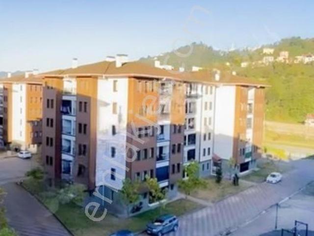 Rize içerisinde kiralık mülk