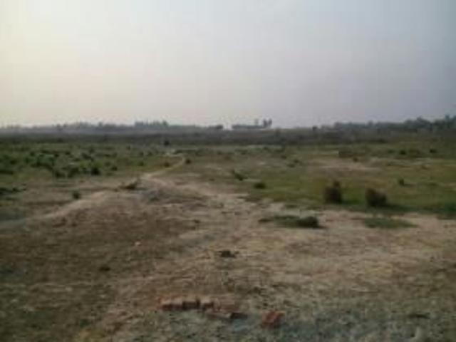 Land for sale in Lakhana, Arunachal Pradesh