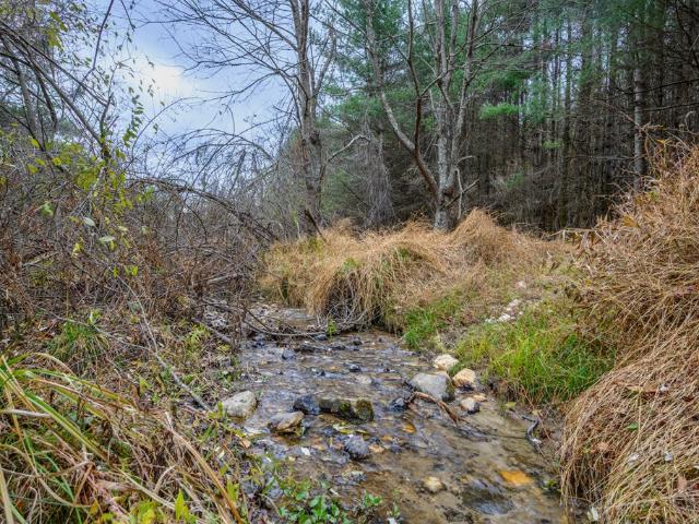 Land for sale in Virginia