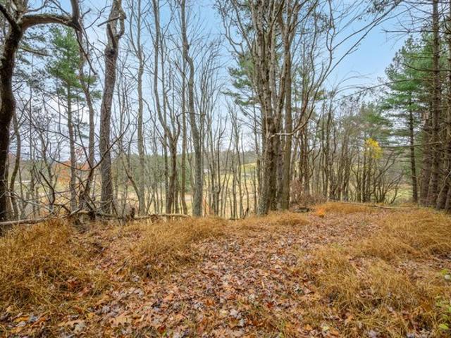 Land for sale in Virginia