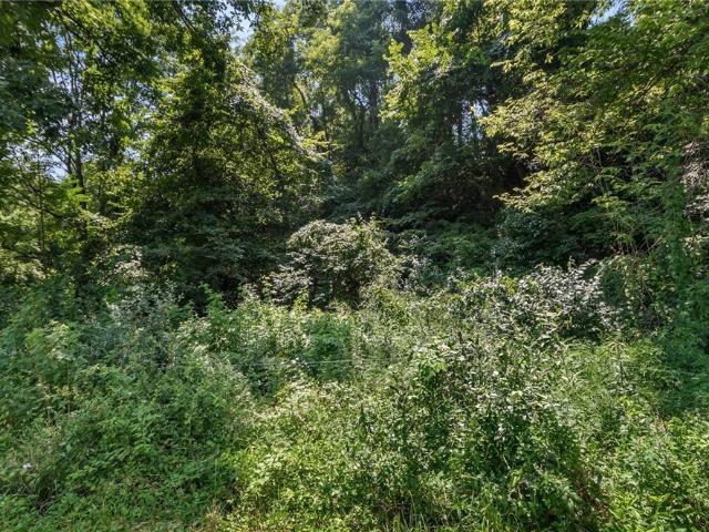 Land for sale in Stockport, Ohio