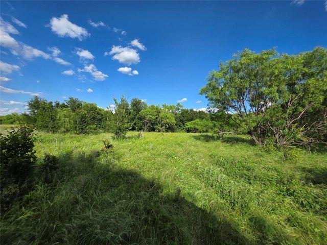 Land for sale in Bangs, Texas