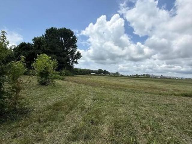 Land for sale in Rogersville, Alabama