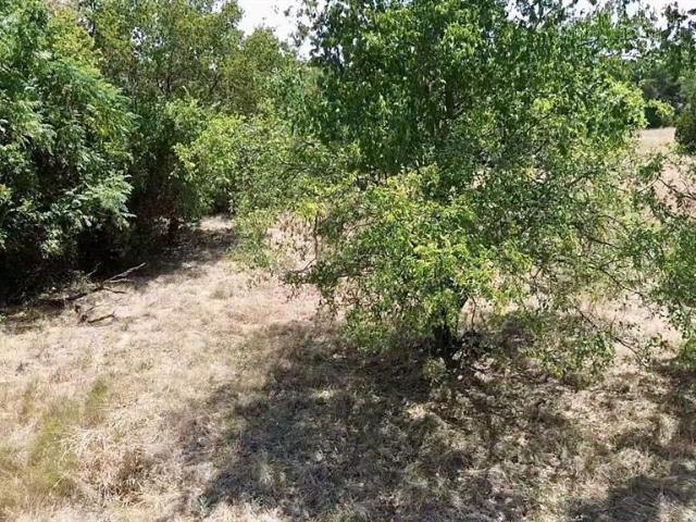Land for sale in Whitney, Hill County