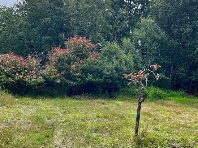 Land for sale in Port Townsend, Washington