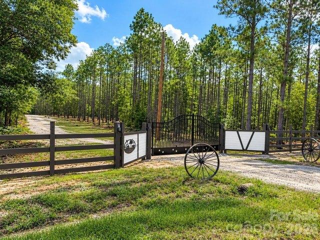 Land for sale in Mount Croghan, South Carolina