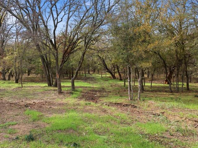 Property for sale in Penelope, Texas