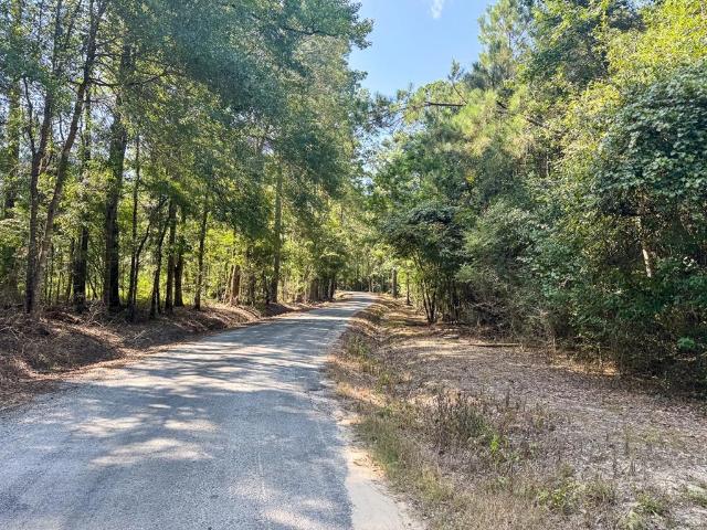 Land for sale in Oakdale, Louisiana