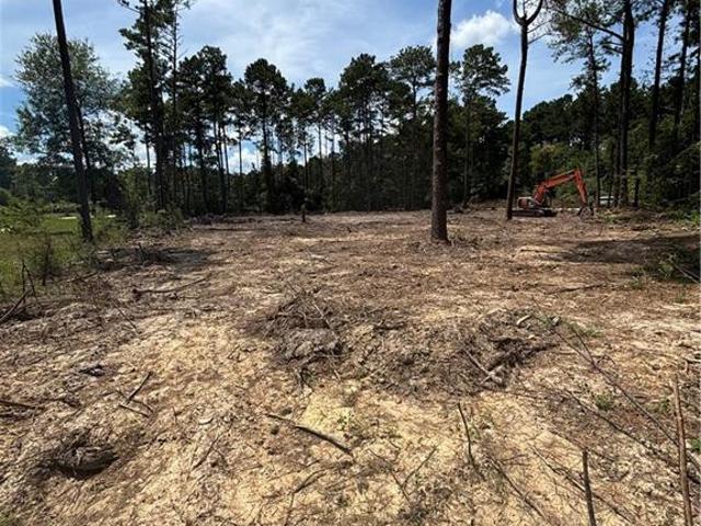 Land for sale in Holden, Louisiana
