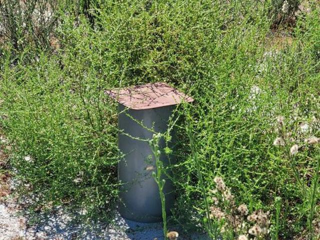 Commercial for sale in Bonsall, California