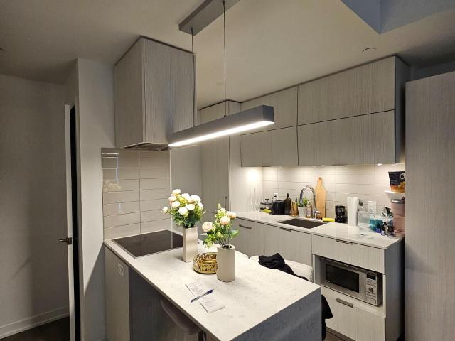 Condo for rent in Spadina—Fort York, Toronto