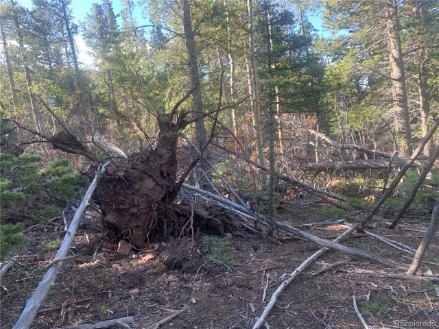 Land for sale in Fort Garland, Colorado