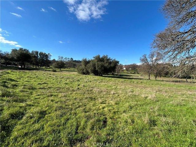 Land for sale in Catheys Valley, California