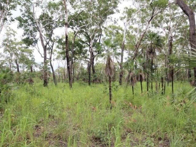 Land for sale in Charlotte, Northern Territory