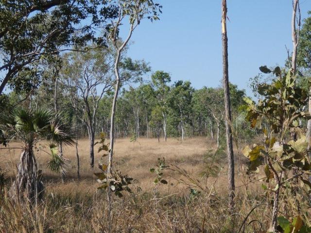 Land for sale in Collett Creek, Northern Territory
