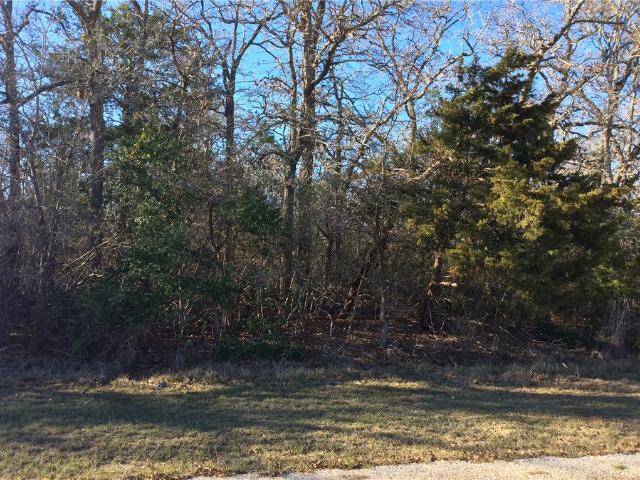House for sale in Somerville, Texas