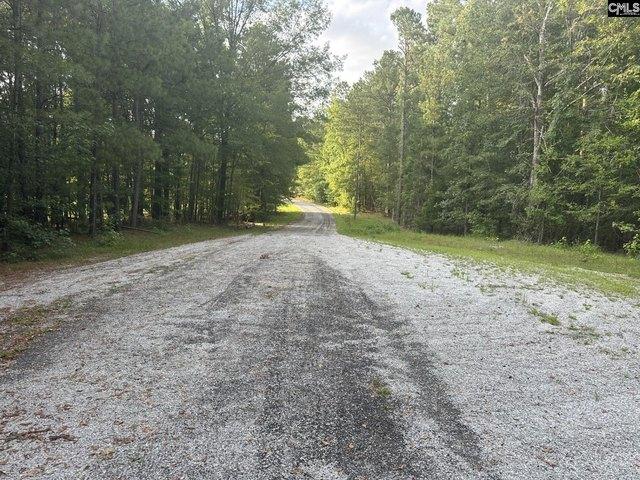 Land for sale in Ridgeway, South Carolina
