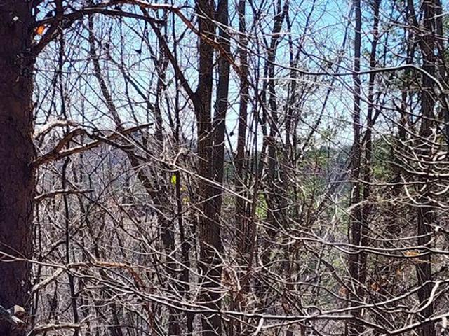 Land for sale in Landrum, South Carolina