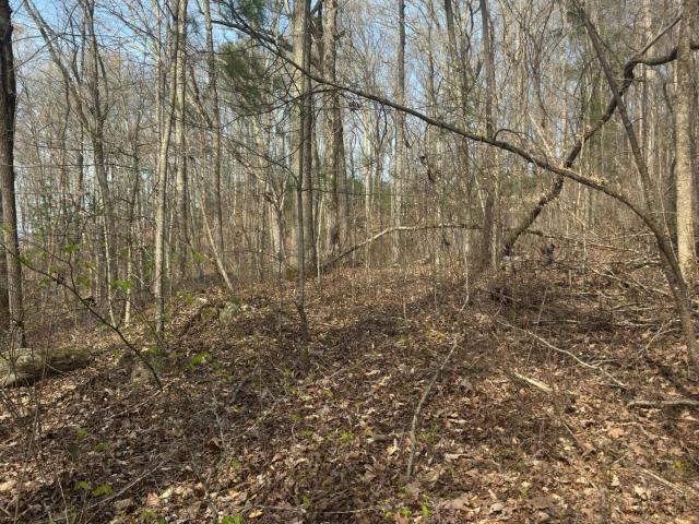 Land for sale in Tennessee