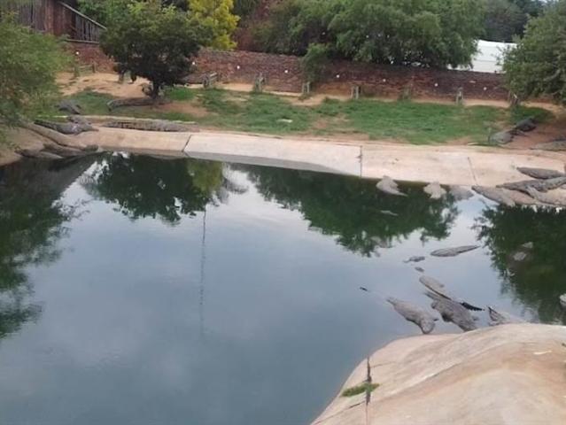 Farm for sale in Alldays, Limpopo