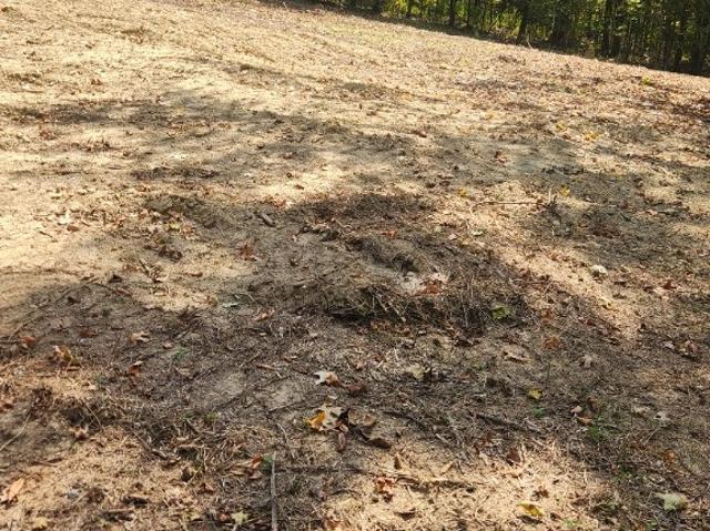 Land for sale in New Salem, Gainesboro
