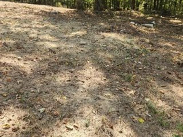 Land for sale in Gainesboro, Middle Tennessee