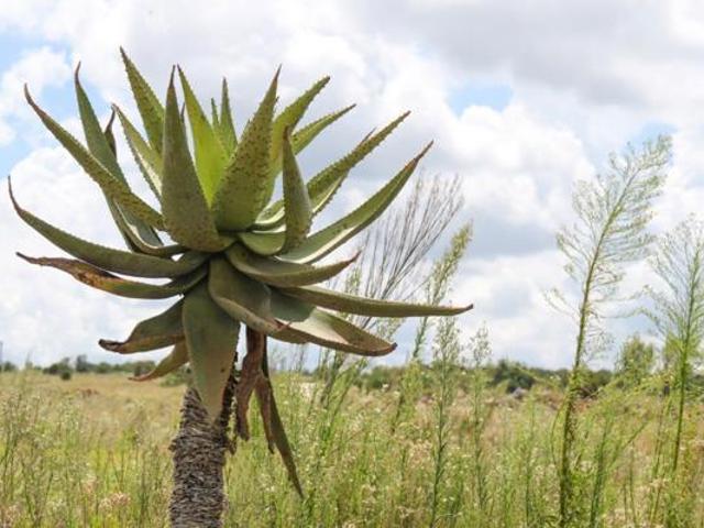 Land for sale in Potchefstroom, Tlokwe Local Municipality