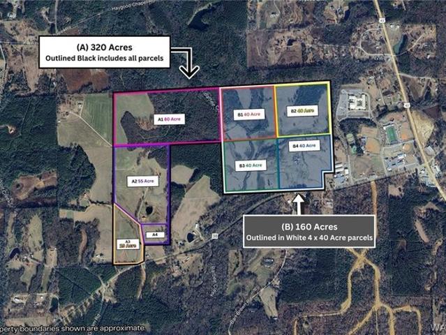 Land for sale in Berry, Alabama