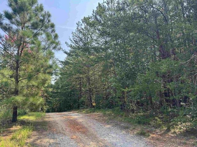 Land for sale in Landrum, South Carolina