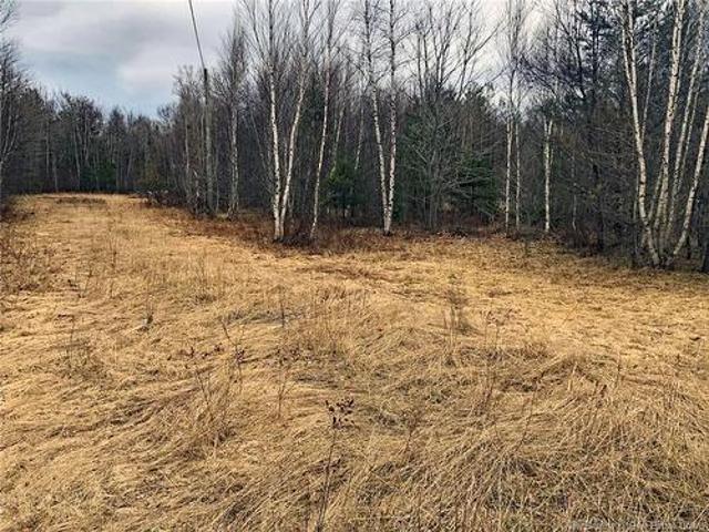 Land for sale in Flowers Cove, New Brunswick