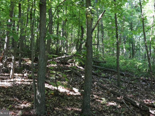 Land for sale in Blair, Pennsylvania