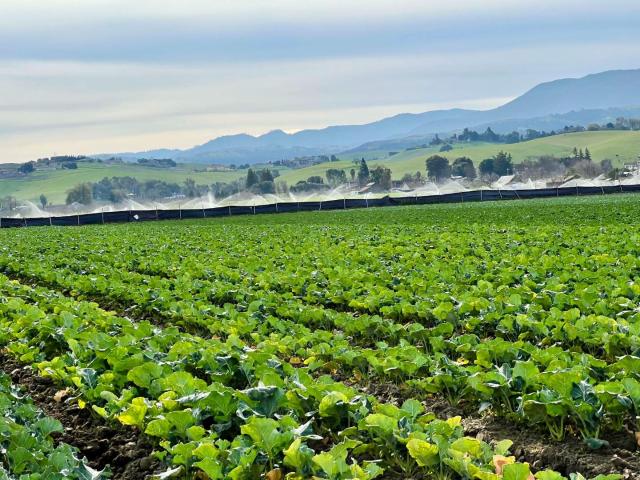 Property for sale in Hollister, California