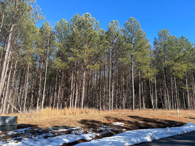 Land for sale in Tennessee
