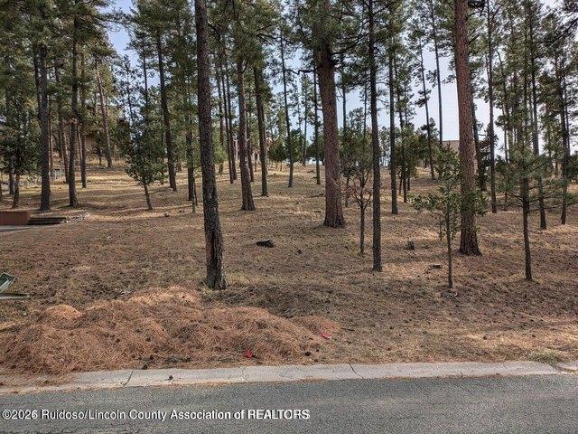 Land for sale in Alto, New Mexico
