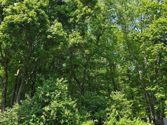 Land for sale in Howard, Ohio