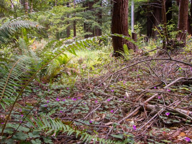 Land for sale in Fort Bragg, California