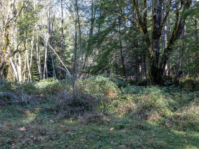 Land for sale in Carbonado, Pierce County
