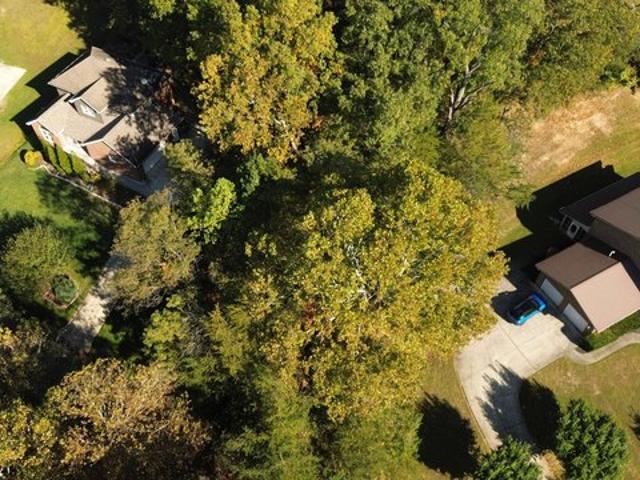 Land for sale in Flatwoods, Greenup County