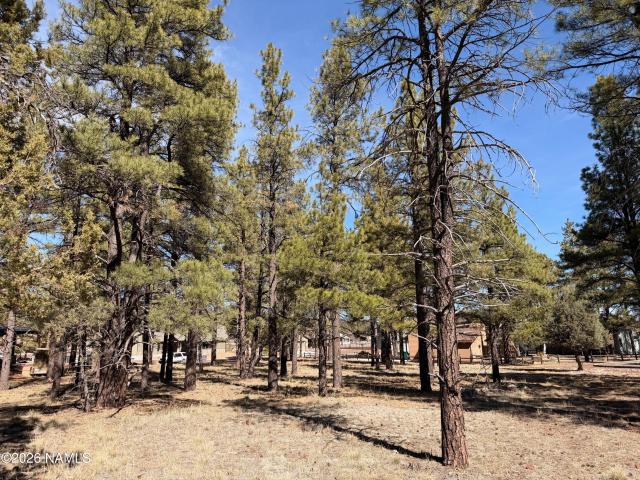 Land for sale in Williams, Arizona